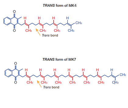 vitamin k2 trans forms