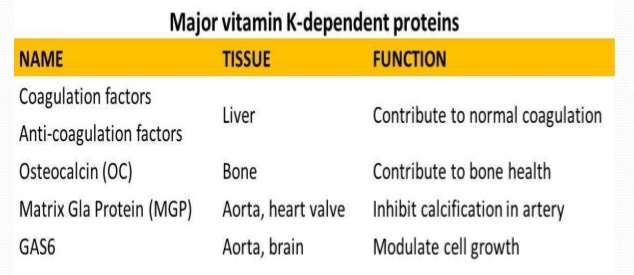 Vitamin K-dependent proteins