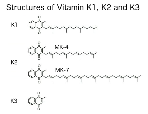vitamin k forms